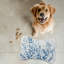 Tapis d'alimentation Bluepe Blossoms - 1 pièce