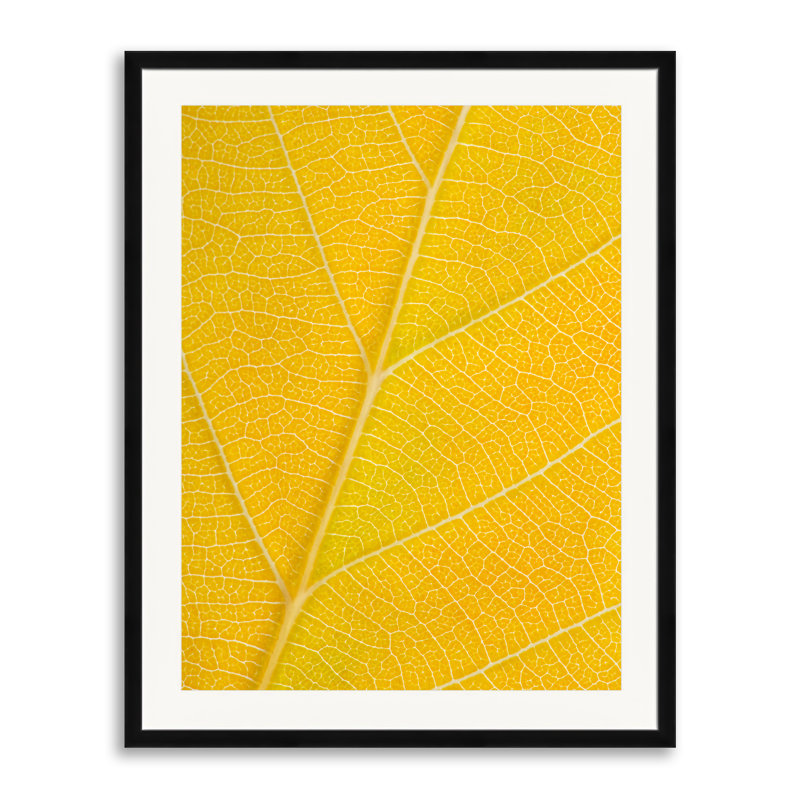 Autumn Leaf Print by Philippe Monthoux, Black Framed Paper, Yellow, 30" H x 24" W