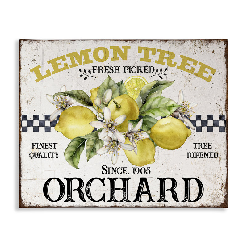 Art mural sur toile «Lemon Tree Fresh Picked» par Creatif Belle bp-613_CN, H 36 po x l 48 po