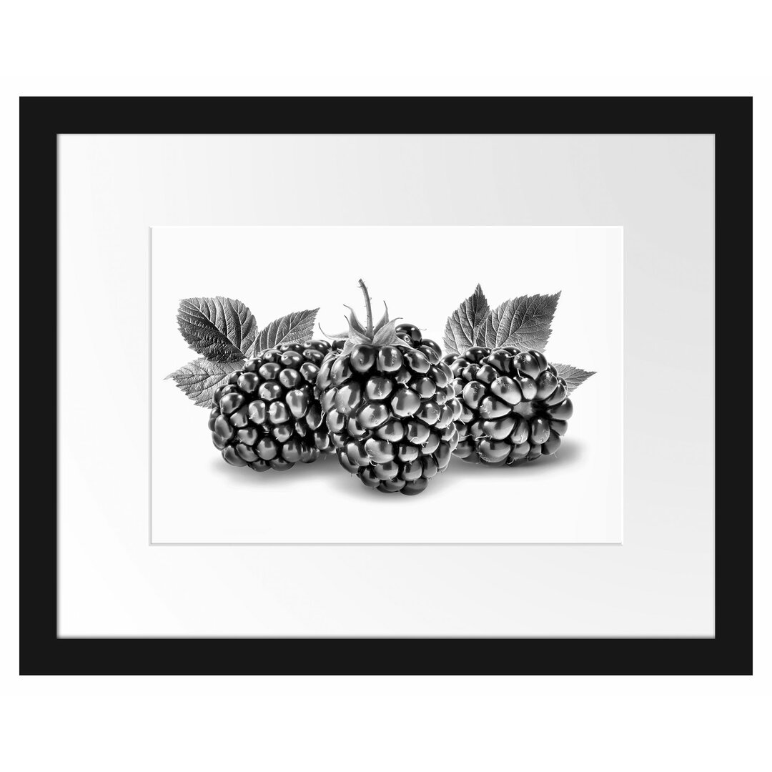 Gerahmtes Poster Leckere Brombeeren