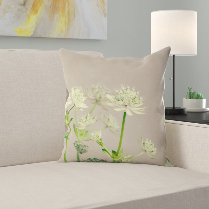 Coussin de plante