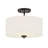 Ralston 2-Light Ceiling Light in Matte Black-1619810751
