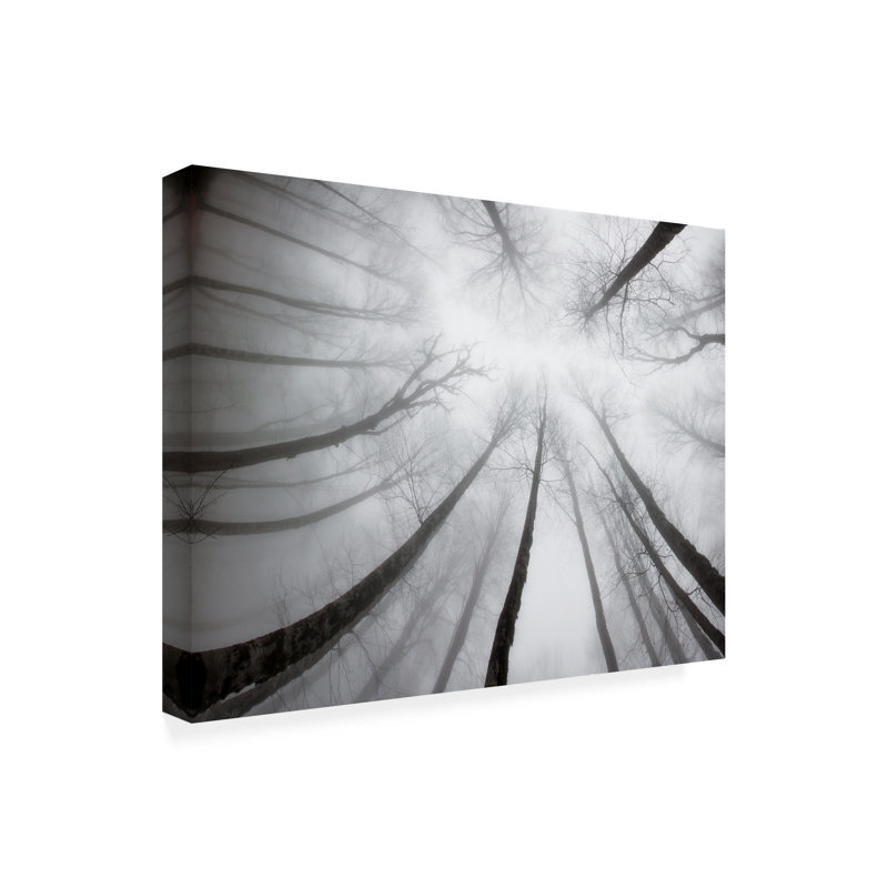 Art sur toile «Bolins Armin Aminelahi Nerves», H 14 po x l 19 po