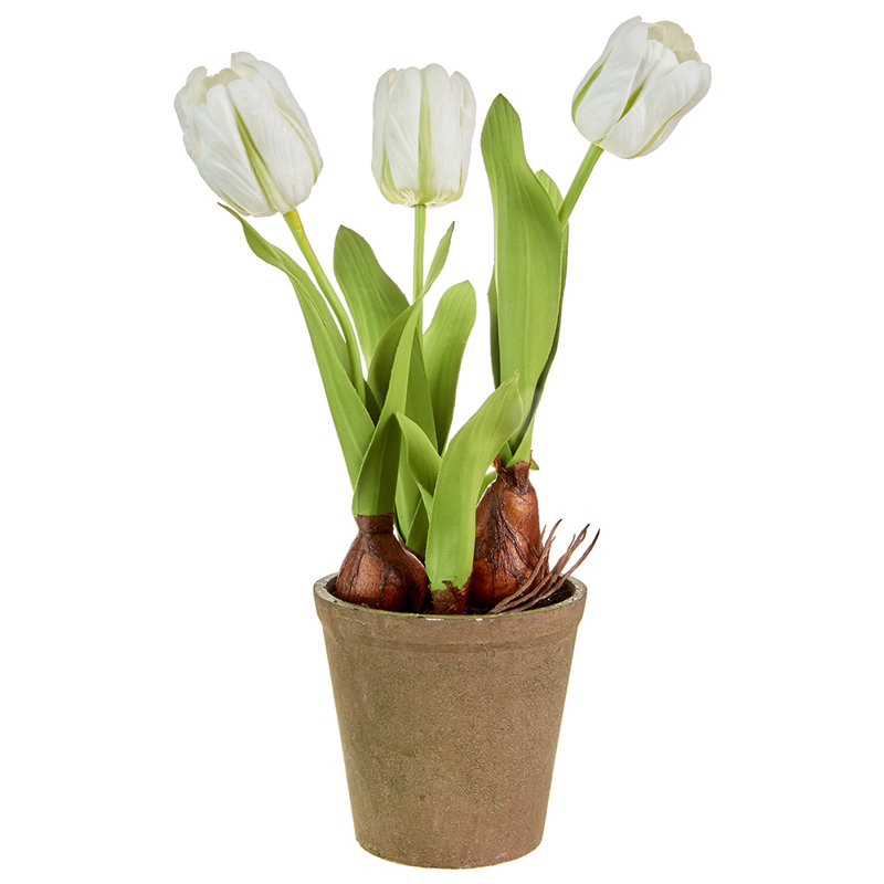 Tige de tulipes en pot real touch