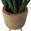 Cachepot