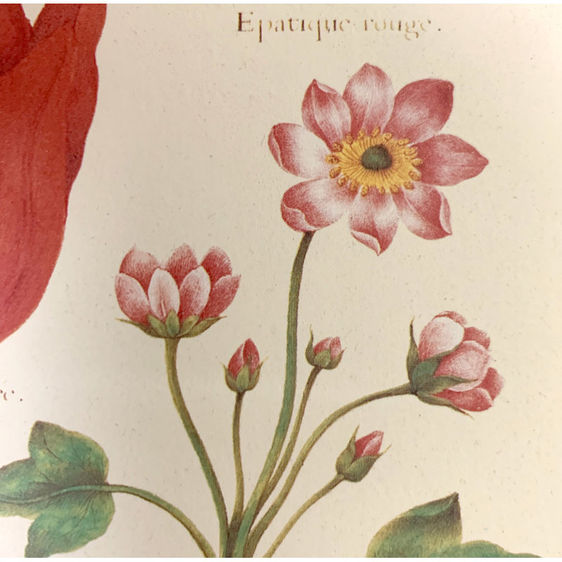 Fleurs rétro - ensemble de 4 peintures