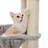 Derosa 65.4'' H Cat Tree
