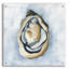 Art mural en verre The World Is Your Oyster 1 'par Yvette St. Amant-109338002