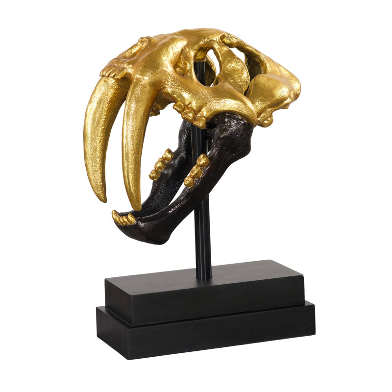 Tooth Tiger Skull, Black/Gold