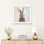 «Rabbit» - reproduction de photo-52366841-52366856