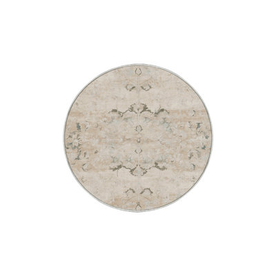 Machine Washable Beige Area Rug GSIX03673
