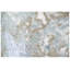 Hand-Knotted High-Quality Blue and Silver Area Rug-52807906