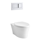 Veil® One-Piece Elongated Dual-Flush Wall-Hung Toilet with Reveal Quiet-Close Seat and 2"X6" In-Wall Tank and Carrier System