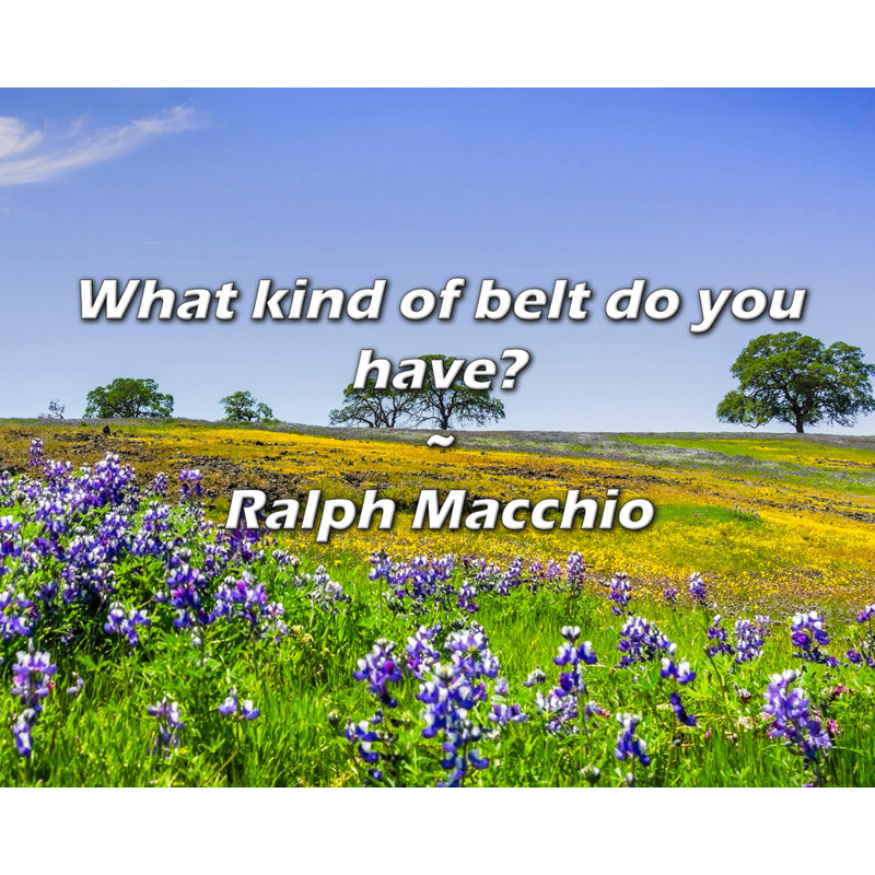 Ralph Macchio Citation: Quel type de ceinture avez-vous?, H 26 po x l 32 po