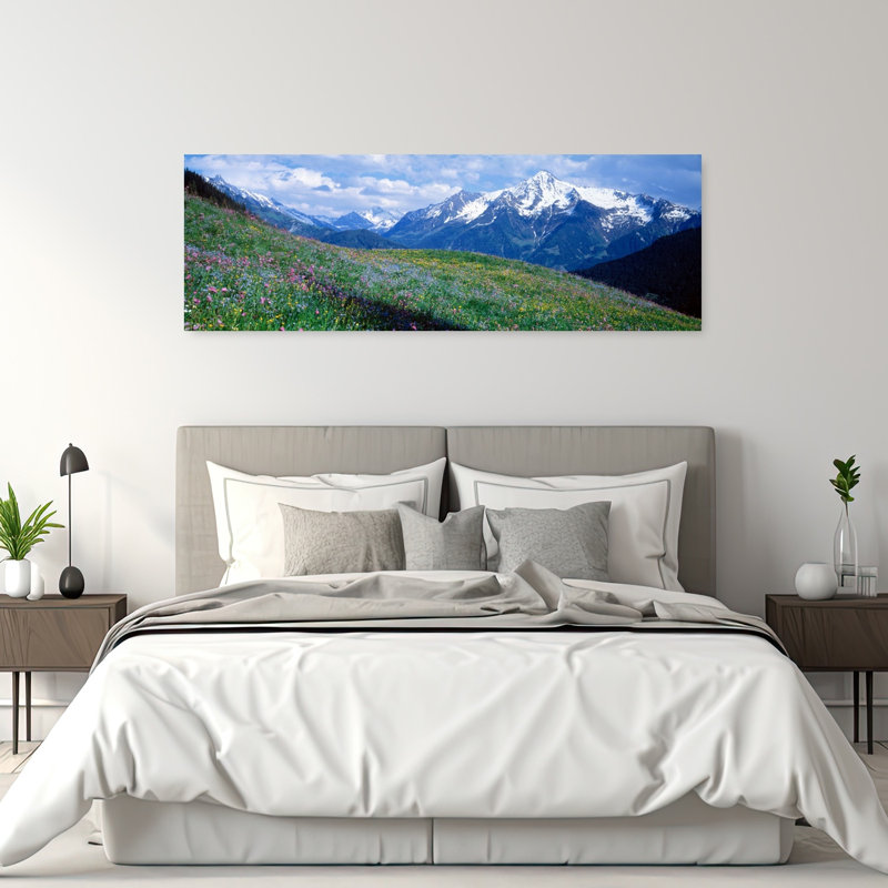 Fleurs sauvages le long d'une montagne, Zillertaler, Autriche, H 20 po x l 60 po