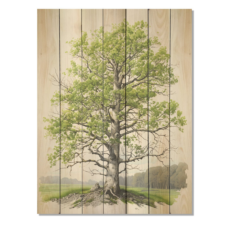 Arbre de Basswood américain ensoleillé vert Essence III - Arbre sur bois, H 32 po x l 24 po