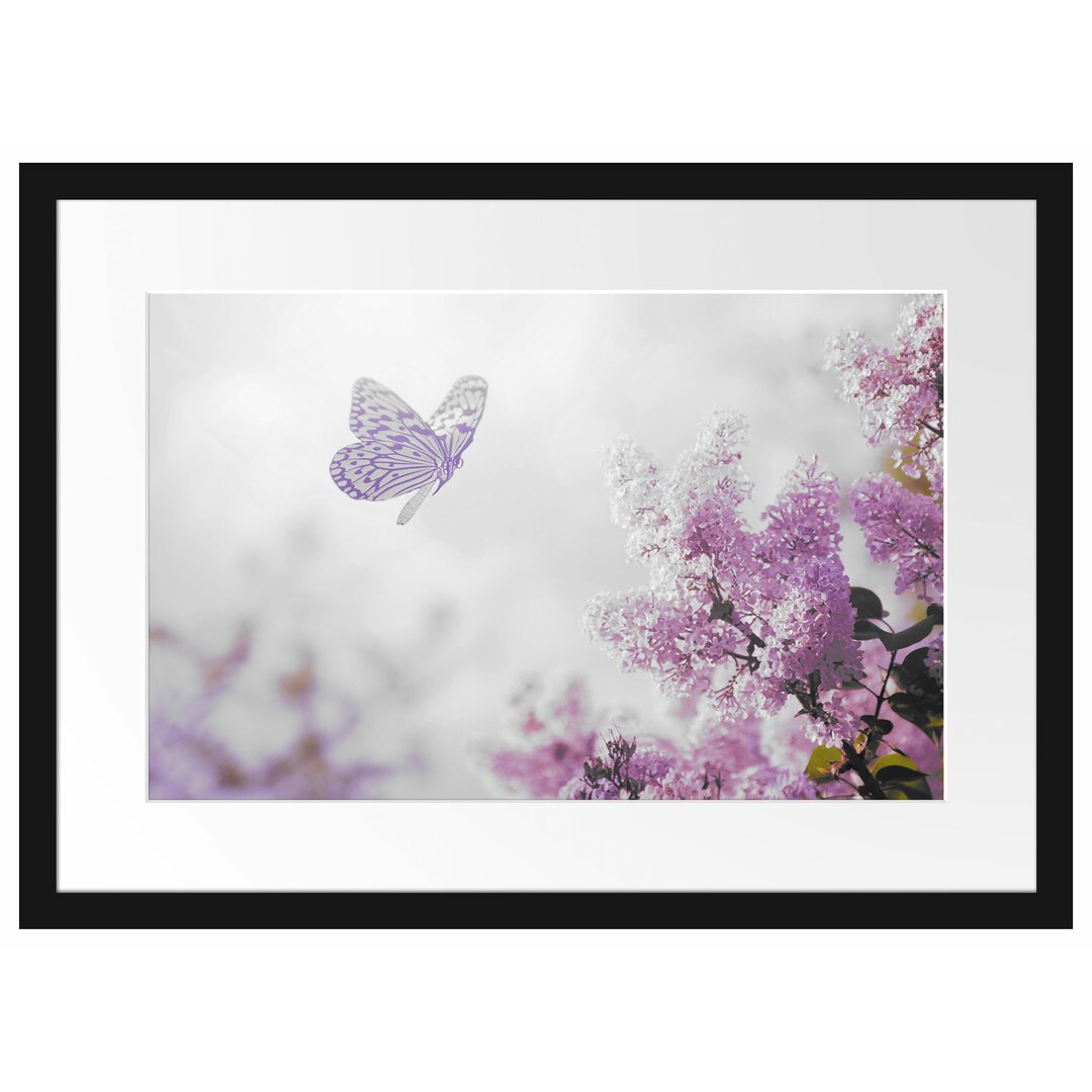 Gerahmtes Poster Schmetterling Kirschblüten