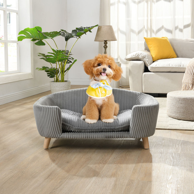 Lit surélevé pour petit chien avec pieds en velours côtelé et en bois d'hévéa, gris, conception moderne de 11 à 25 lb, mousse de soutien pour chien à assemblage rapide, aspect,