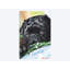 Carlin noir imprimé sur toile-32498522-72115415-72115416