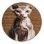 Tapis lavable Minskin-466497609