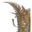 Lampe de table d'extérieur 18 "High Fern
