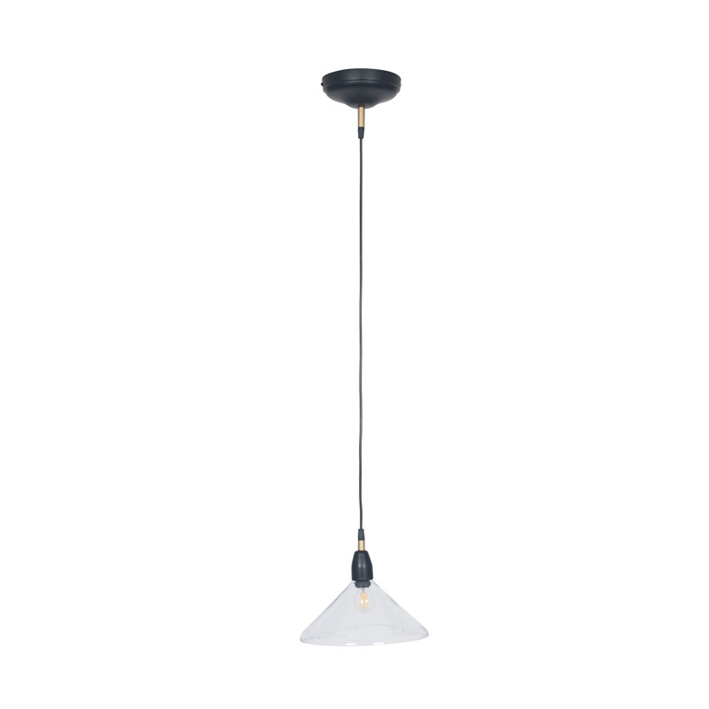 Himanshee 1 - Light Clear Cone Pendant