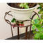 Support pour plante Bryony