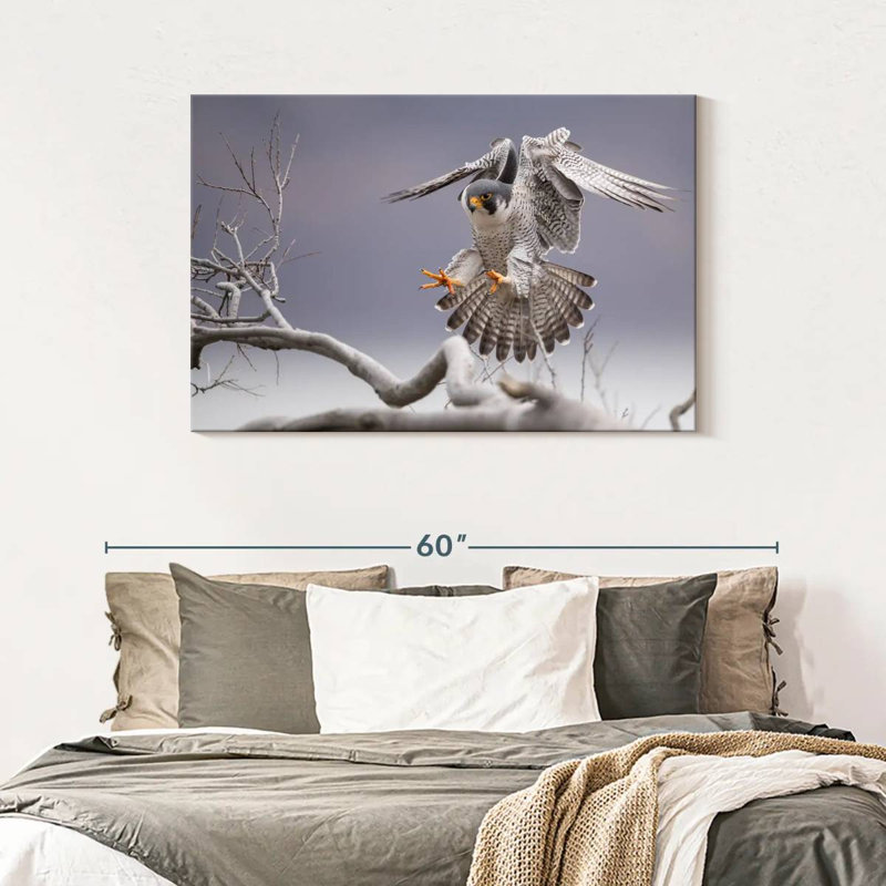 Peregrine Falcon, 30" H x 45" W