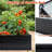 Galvanized Raised Garden Bed Outdoor 8X4x2 Ft - Large Planter For Vegetable And Flower Planting Black Easy Setup Fruit Cultivation To Put Together-658694857