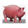 Pig by Kelly Johnson - Wrapped Canvas Graphic Art