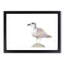 Seagull Bird in the Rainbow in Abstract - Picture Frame Graphic Art Print-55762284-55762286