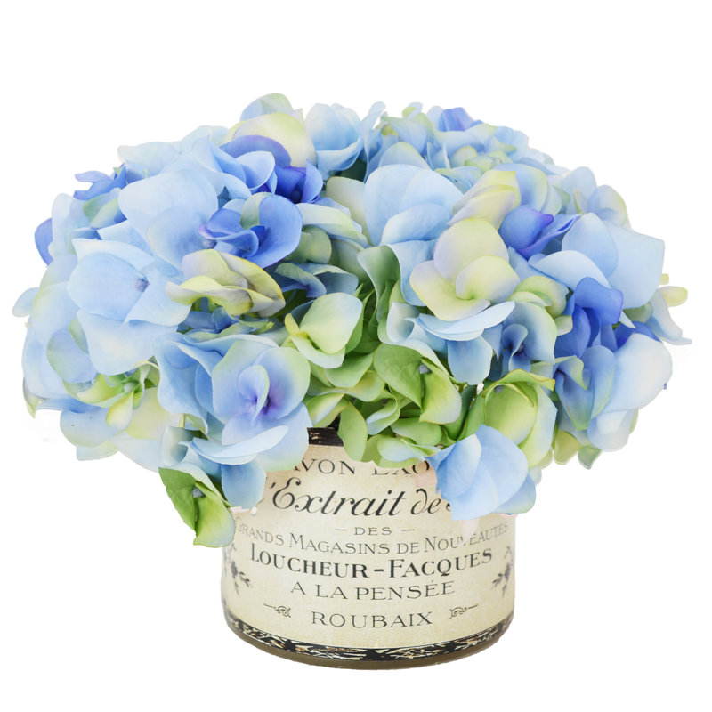 Hydrangea Arrangement in Pot, Blue / Cream