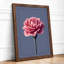 Pink Carnation Study Botanical - Framed Print-377950118-377950119