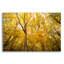«Smugglers Notch» par Richard Wong, art mural en verre acrylique-1548800693