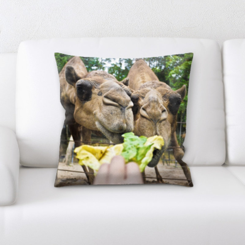 Microsuede Reversible Throw Pillow