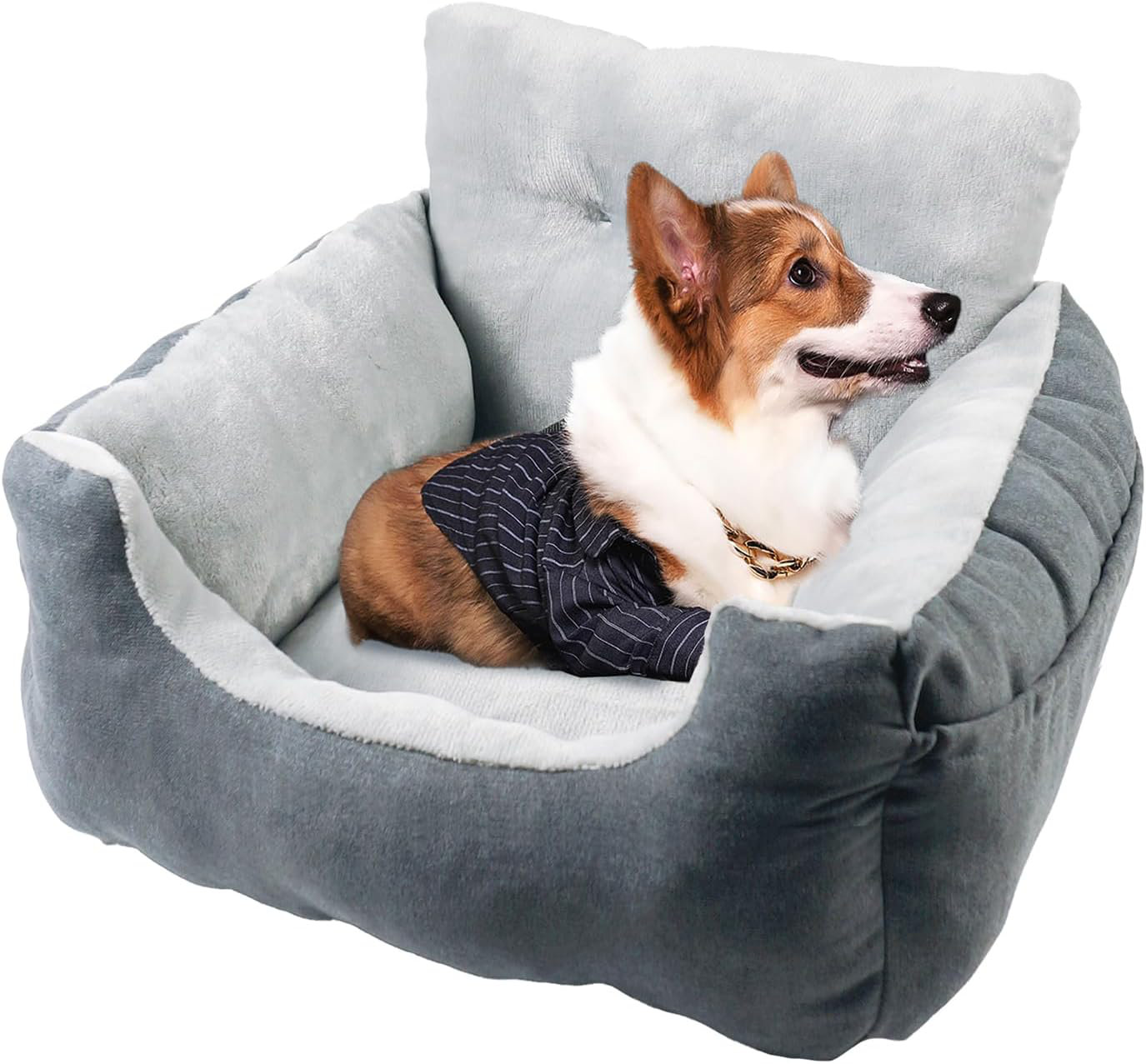 Housses Siège Auto Pour Chien Fiat 500 2007-2022 - Imperméable 4 Couches - Antidérapante - Protection Intégrale