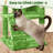 61.5" Dagenham Cat Tree-93620177-116369770