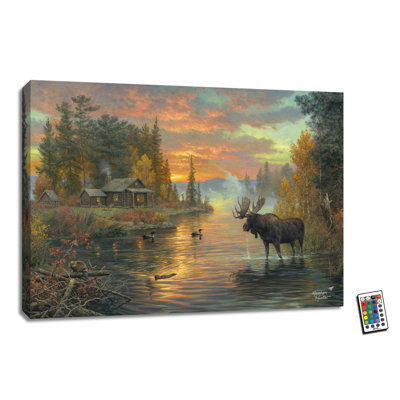 The Great North 18x24 Fully Illuminated ColorChange LED Print