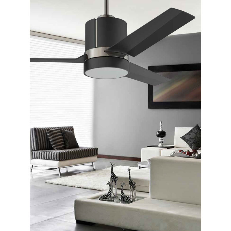 Zekiyah 44'' Ceiling Fan with LED Lights, Black
