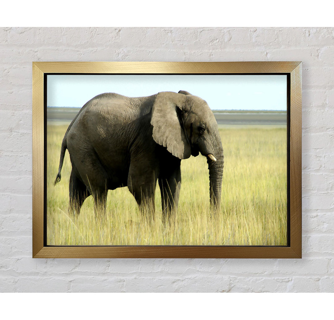 Afrikanischer Elefant Namibia - Druck