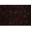 Tapis traditionnel antique 2 x 4