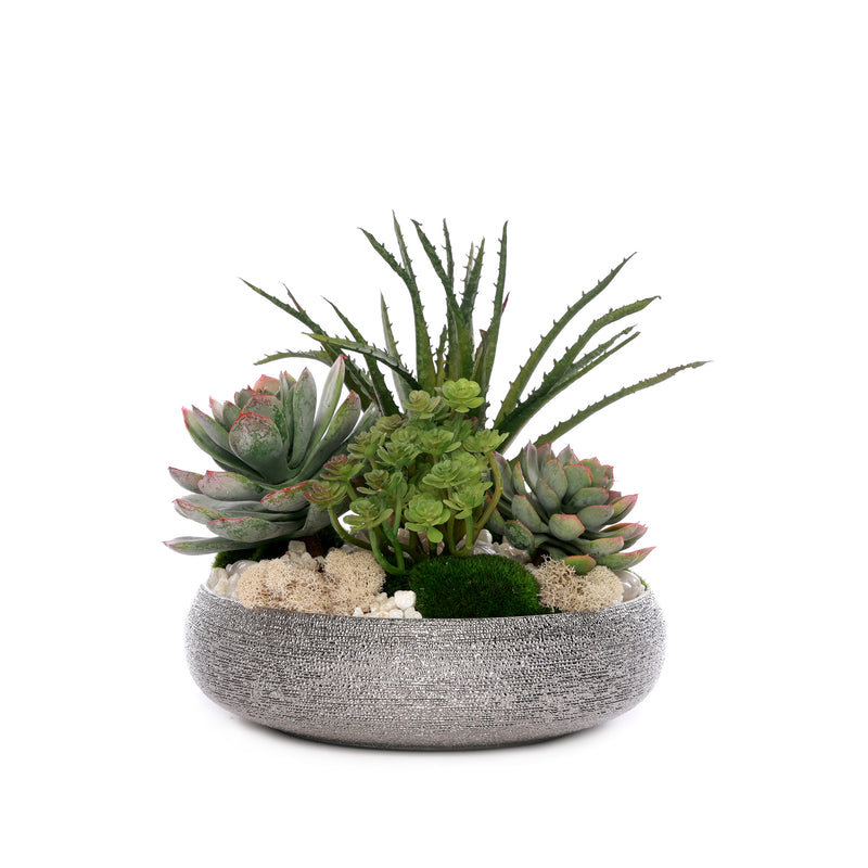 Succulent with Pebbles and Moss in Textured Silver Bowl