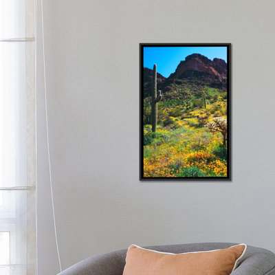 « american sud landscape », reproduction de photo sur toile
