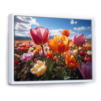 Tulipes «Fields of Color IV», reproduction sur toile