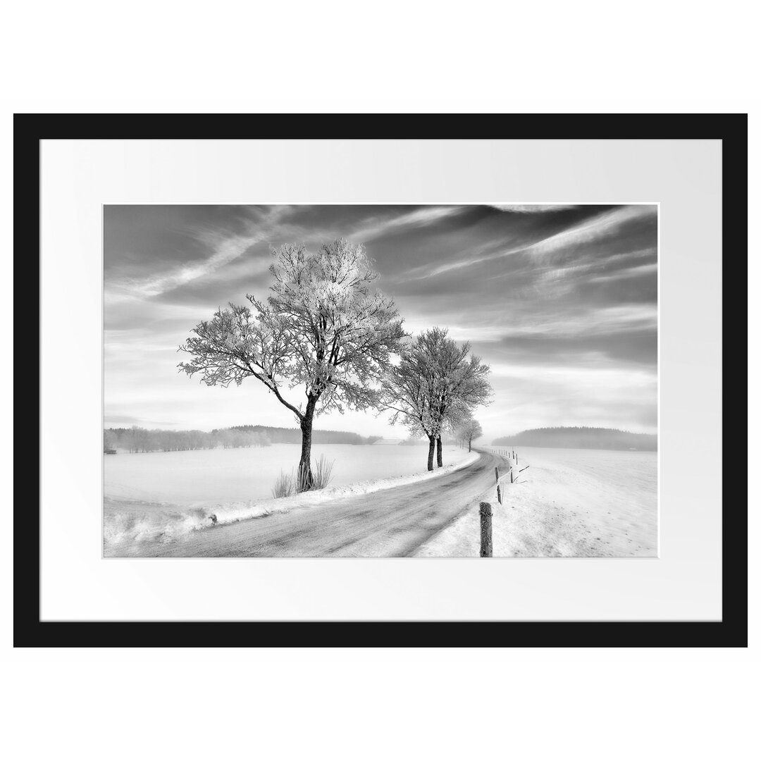 Gerahmtes Poster Baum im Schnee