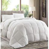 Comforter