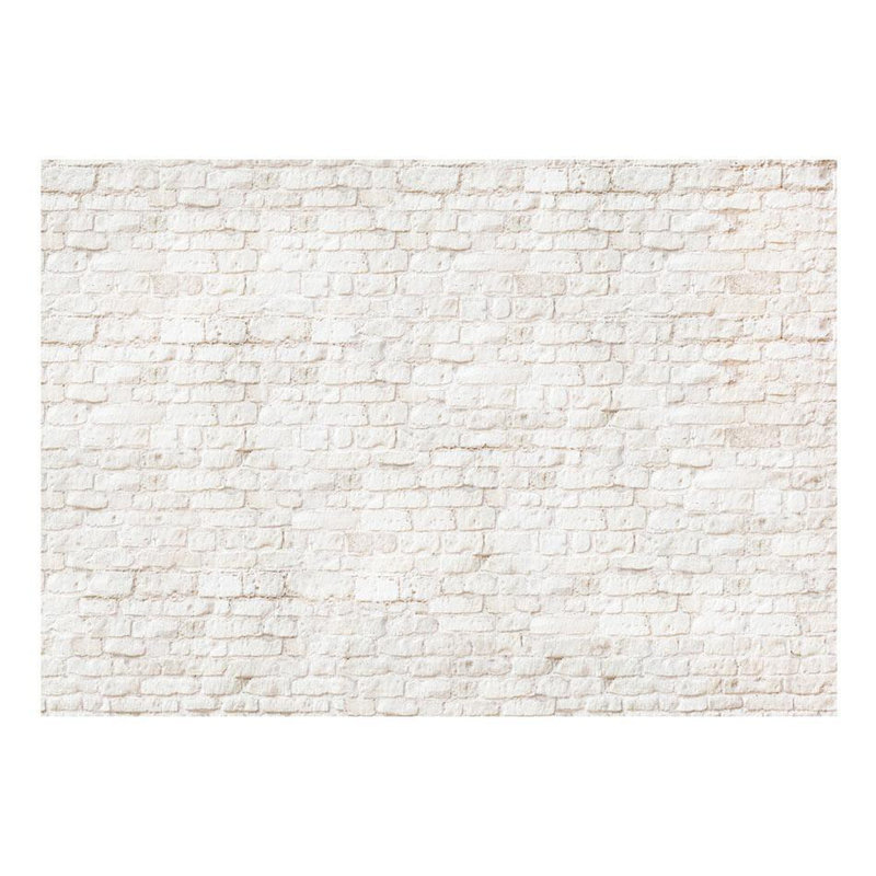 Papier peint brique Fabin, L 135 po x L 96 po