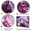 Lilas roses photo harmonie sur toile-1939072321-1939072320