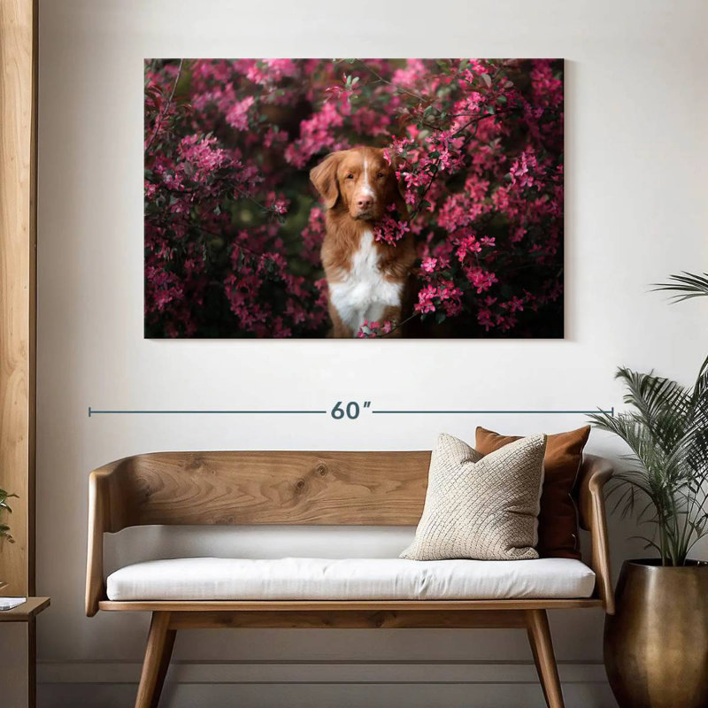 Toller In The Garden