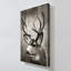 "Focused Buck" par Danita Delimont, reproduction sur toile-530905665